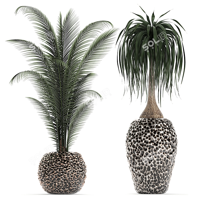 Exotic Plant Collection: Banana Palm, Ravenala, Strelitzia 3D model image 4