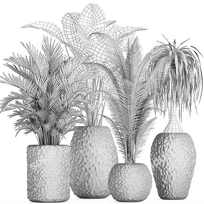 Exotic Plant Collection: Banana Palm, Ravenala, Strelitzia 3D model image 5