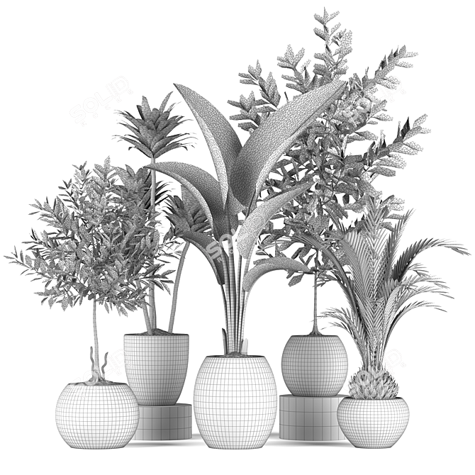 Lush Greenery Plants Collection 3D model image 5