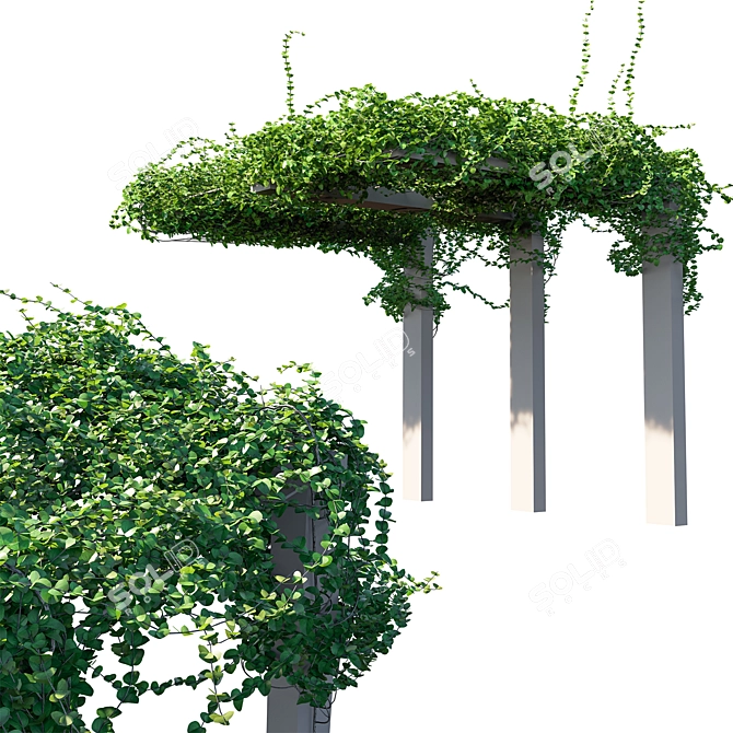  Elegant Vines Wall Decor 3D model image 1