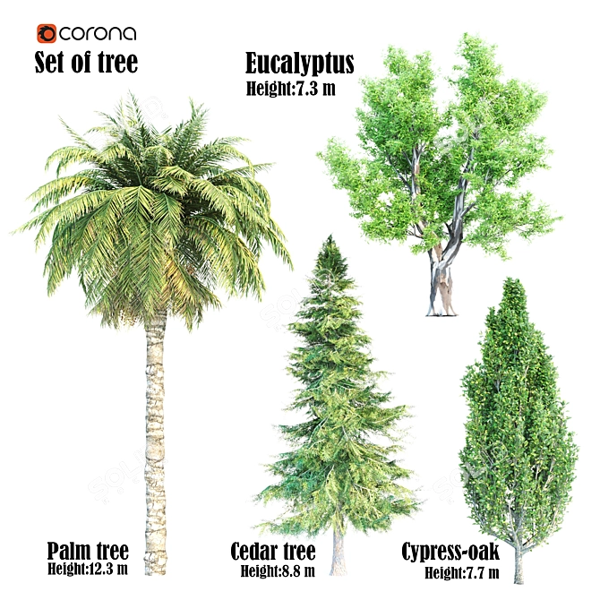 Evergreen Tree Set: Eucalyptus, Cypress, Palm & Cedar 3D model image 1