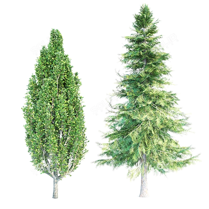 Evergreen Tree Set: Eucalyptus, Cypress, Palm & Cedar 3D model image 2