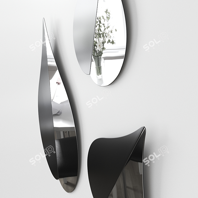 Gallotti Radice Spring Mirror - Elegant Italian Design 3D model image 2