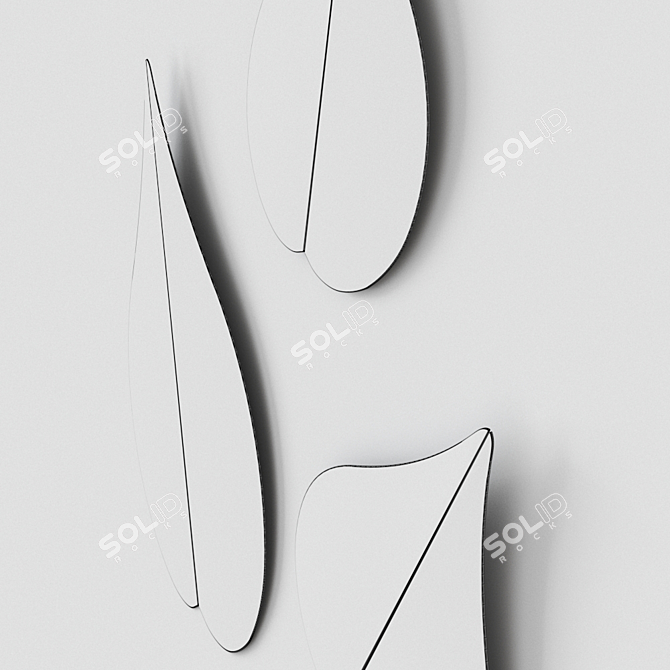 Gallotti Radice Spring Mirror - Elegant Italian Design 3D model image 3