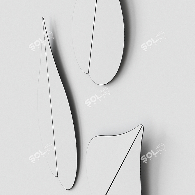 Gallotti Radice Spring Mirror - Elegant Italian Design 3D model image 6