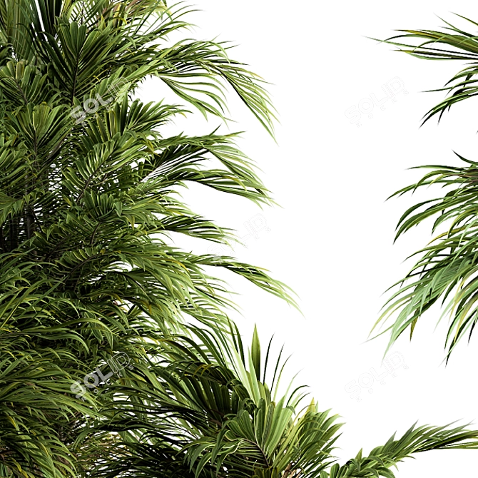 Tropical Oasis Indoor Plant Set 3D model image 4