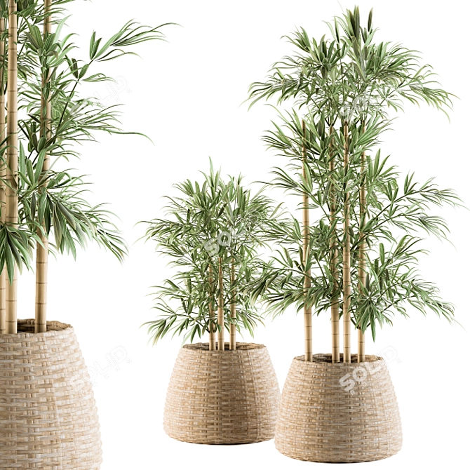 Tropical Bliss: Palm in Mat Pot 3D model image 1