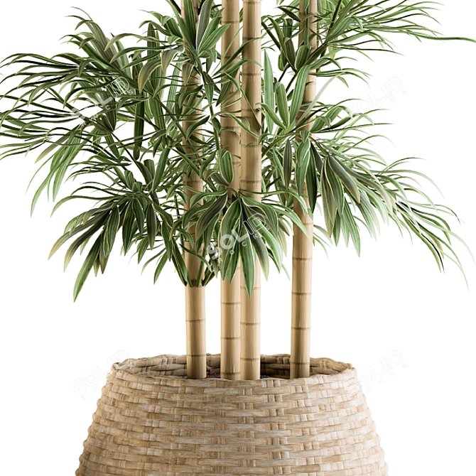 Tropical Bliss: Palm in Mat Pot 3D model image 3