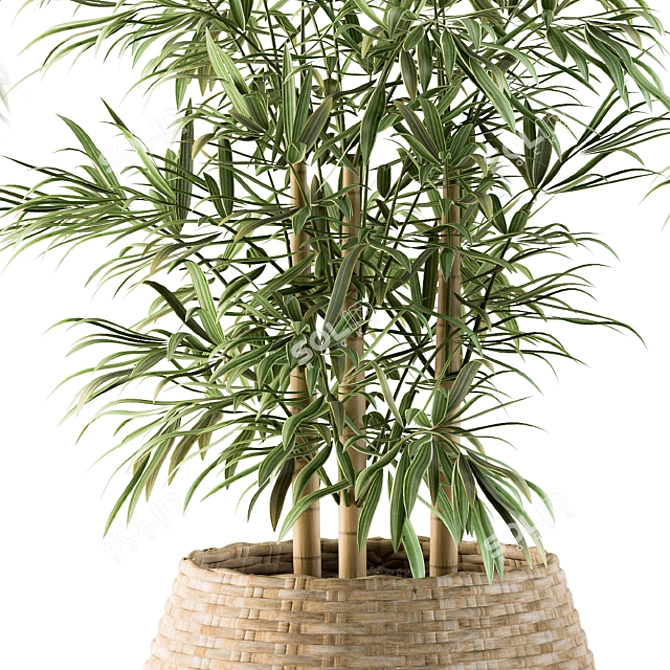 Tropical Bliss: Palm in Mat Pot 3D model image 4