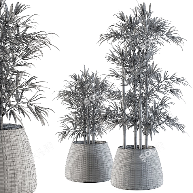 Tropical Bliss: Palm in Mat Pot 3D model image 5