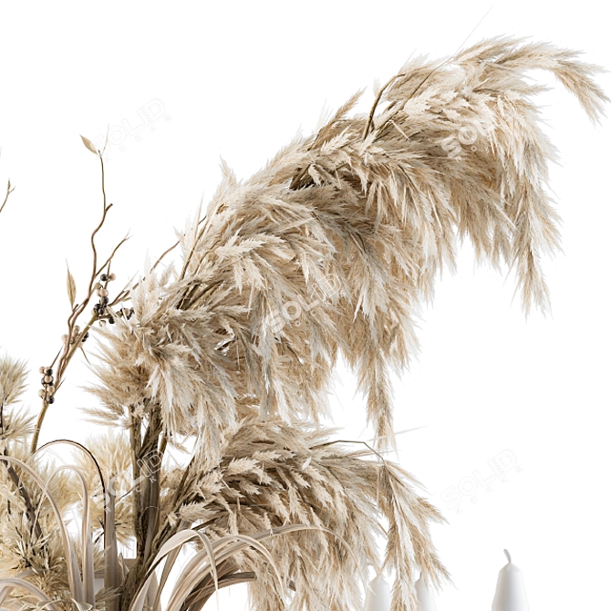 Boho Home Décor: Dried Plant & Pampas Set 3D model image 3