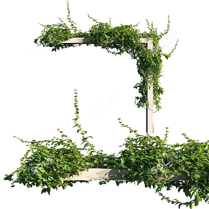 Elegant Wall Vines Décor 3D model image 1