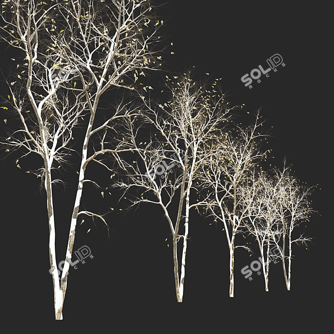 Winter & Autumn Fraxinus Tree: Separated Parts, Corona Material Library 3D model image 2