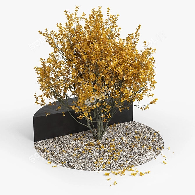 Autumn 3D Models Collection 3D model image 2