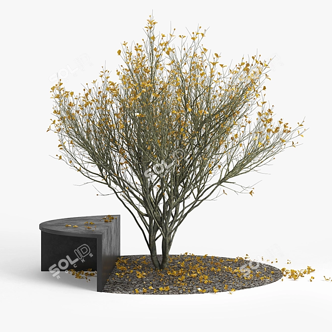 Autumn 3D Models Collection 3D model image 4