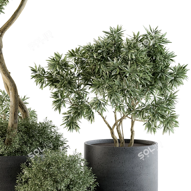 Outdoor Greenery Set: 90 Tree-in-Pot 3D model image 3
