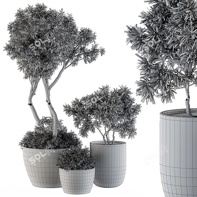 Outdoor Greenery Set: 90 Tree-in-Pot 3D model image 5
