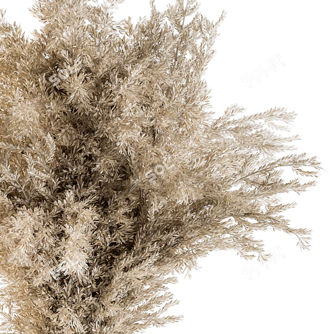 Pristine Pampas: 40 Dried Plants 3D model image 2