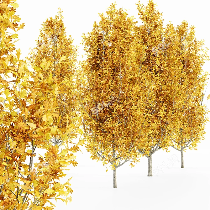 Luxury Fall Forest: Set of 5 Cypress Oak Trees 3D model image 2