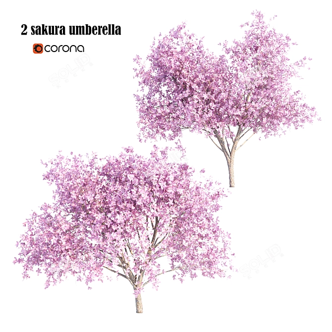 Elegant Sakura Umbrella Set 3D model image 3