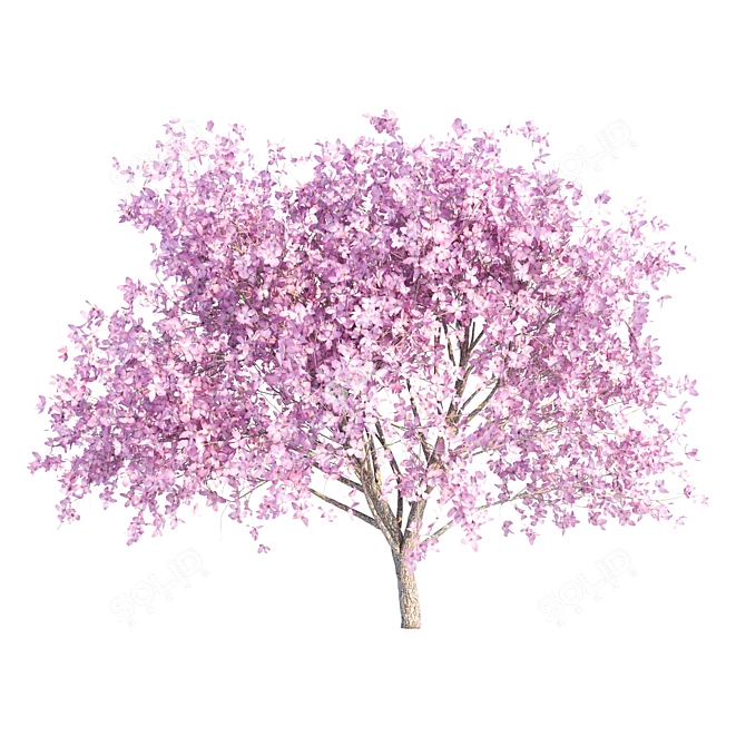 Elegant Sakura Umbrella Set 3D model image 1