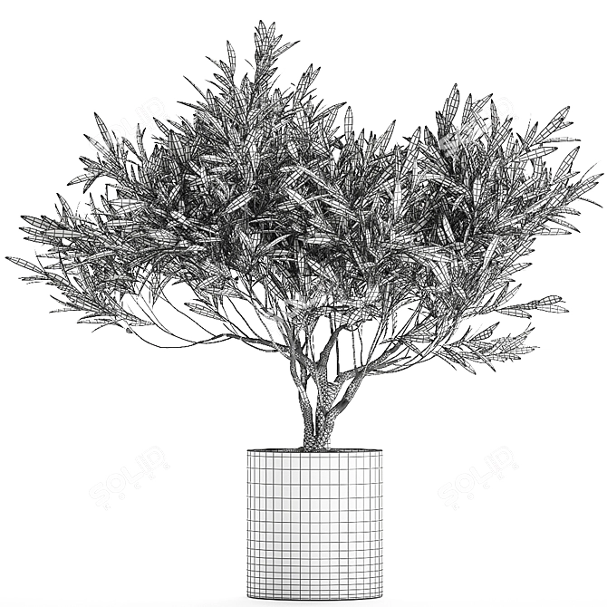 Exotic Plant Collection: Decorative Olive Tree in Black Vase 3D model image 5