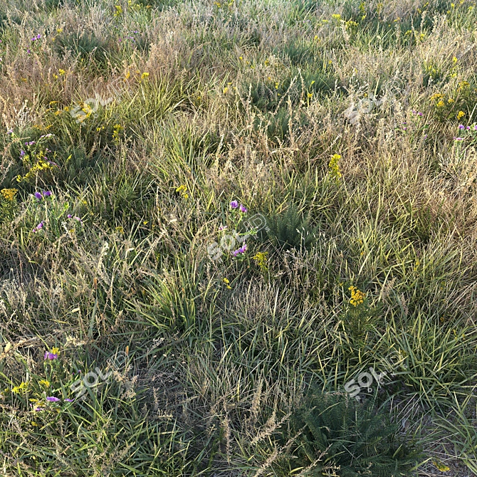 Autumn Paradise: Lush Grass Fields 3D model image 1