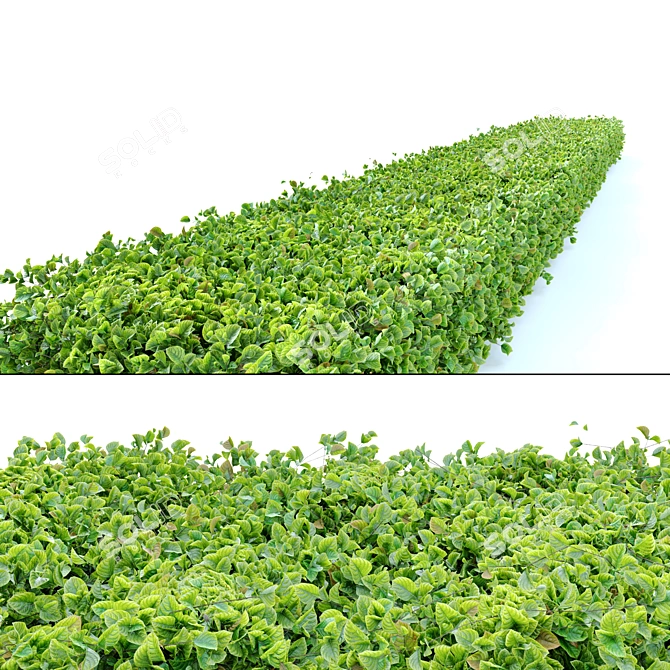 Gravel-Based Bush: Natural, Separated Parts 3D model image 3