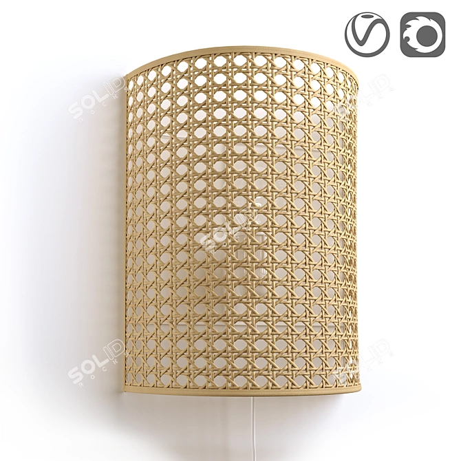 Natural Rattan Wall Lamp DOLKIE 3D model image 1