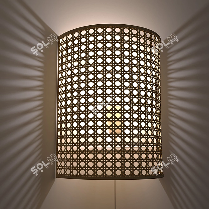 Natural Rattan Wall Lamp DOLKIE 3D model image 2