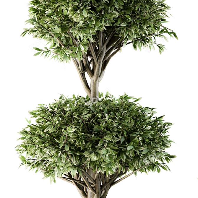 Lush Green Garden Decor - Set of 91 Topiary Balls 3D model image 2