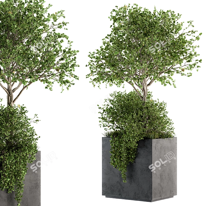 Concrete Box Outdoor Plant Set 93 3D model image 2