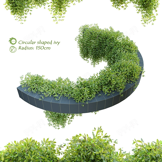 Versatile Circulated Ivy 3D model image 1