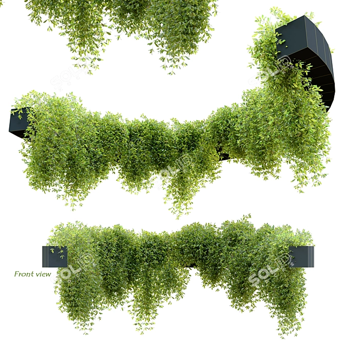 Versatile Circulated Ivy 3D model image 2