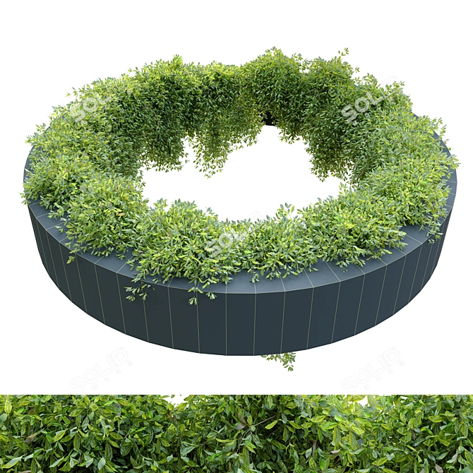 Versatile Circulated Ivy 3D model image 4