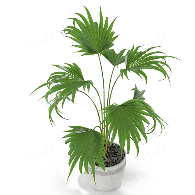 407 Plants Collection: Lush and Vibrant 3D model image 2