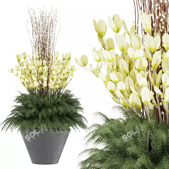 Outdoor Plant 001: Superior Quality and Lightweight 3D model image 1