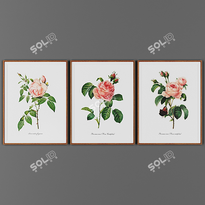 Wooden Frame Art Collection 3D model image 1