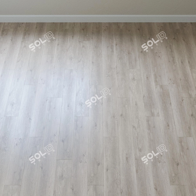 Silver Gray Oak Laminate Haro Tritt100 3D model image 2