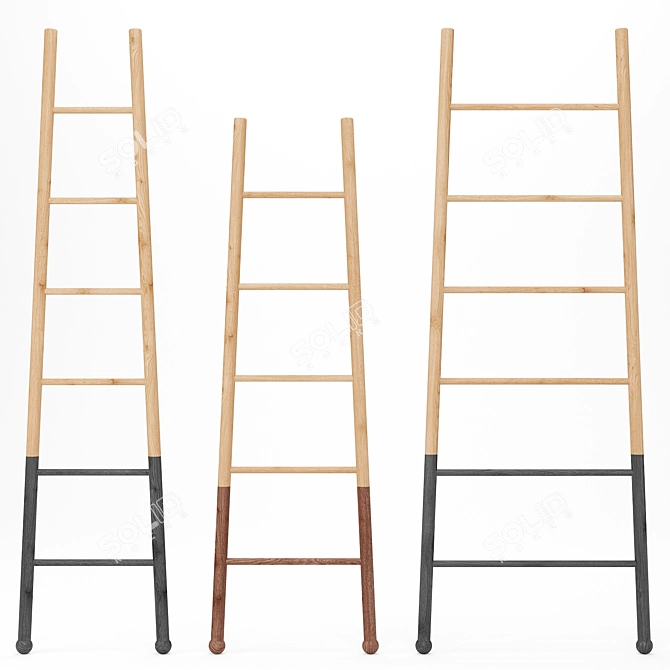 American-Made Decorative Ladders 3D model image 1