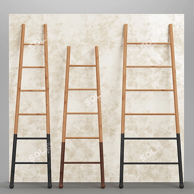 American-Made Decorative Ladders 3D model image 2