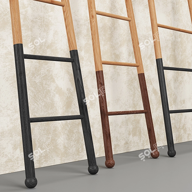 American-Made Decorative Ladders 3D model image 4