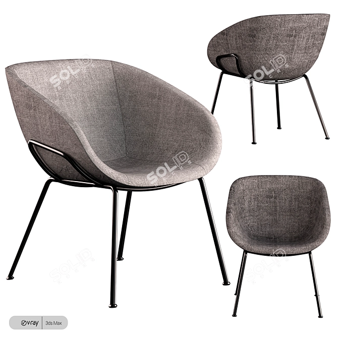 Modern Feston Lounge Chair 3D model image 2