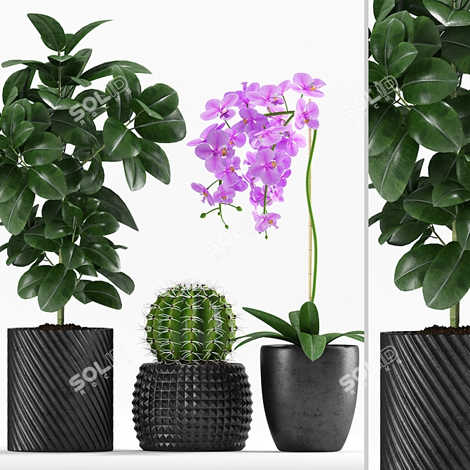 235 Indoor Plant Collection 3D model image 1