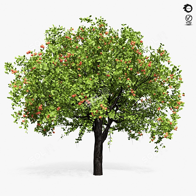 Giant Apple Tree 6s: Realistic 3D Model 3D model image 2