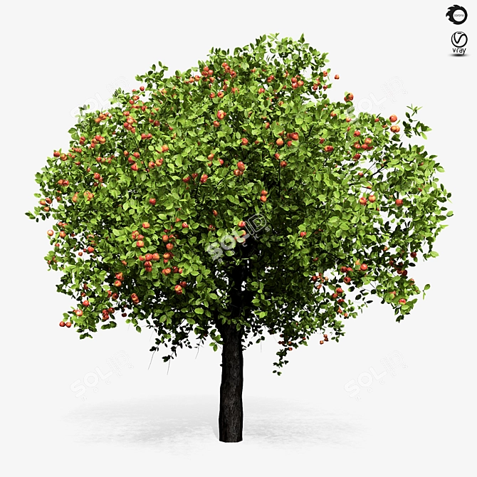 Giant Apple Tree 6s: Realistic 3D Model 3D model image 3