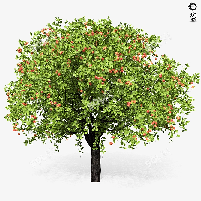 Giant Apple Tree 6s: Realistic 3D Model 3D model image 4