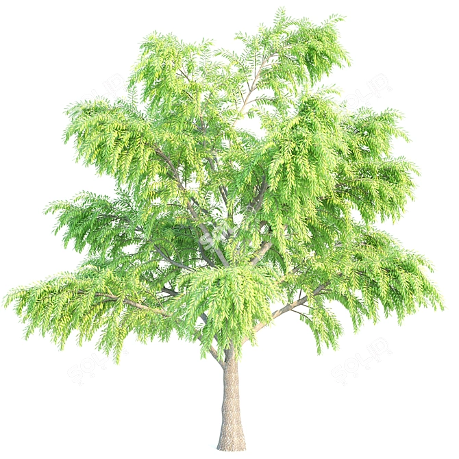 Lush Willow Vray: High Poly! 3D model image 3