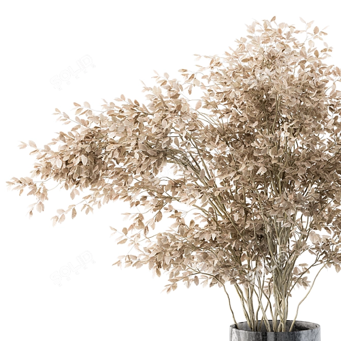Pampas Dream - Dried Flora Delight 3D model image 2