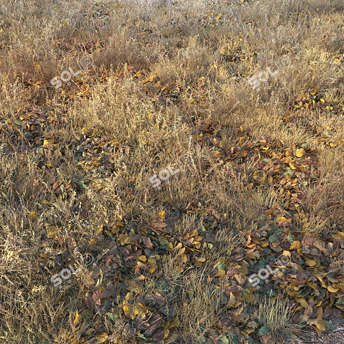 Autumn Fields Dry Grass 3D model image 1